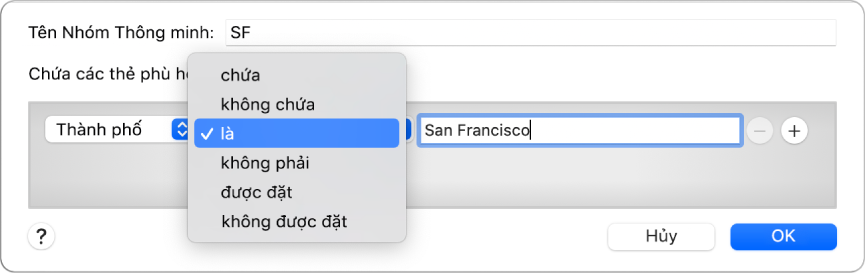 Cửa sổ Nhóm thông minh đang hiển thị nhóm có tên SF và một điều kiện với ba tiêu chí: Thành phố trong trường đầu tiên, được chọn từ menu bật lên trong trường thứ hai, và San Francisco trong trường thứ ba.