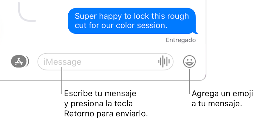 Una conversación en la ventana de Mensajes con el campo de texto situado en la parte inferior de la ventana.