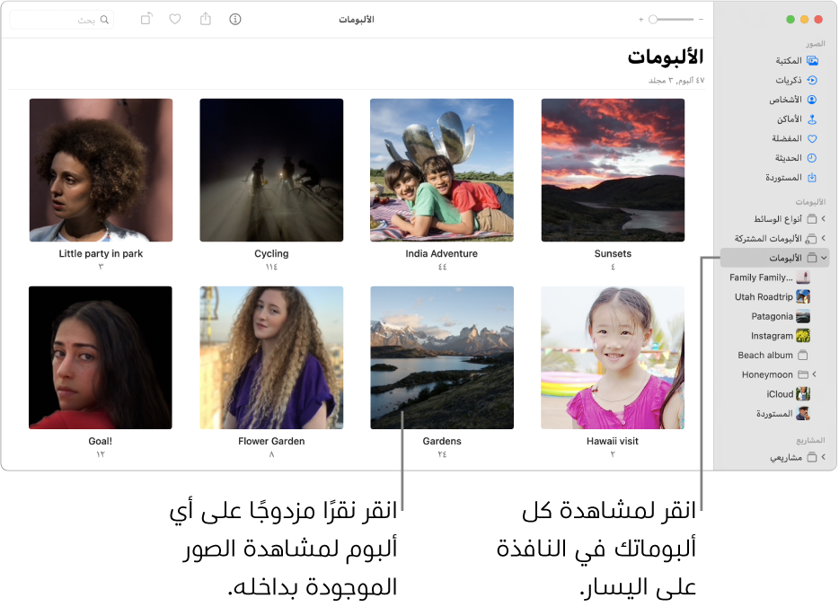 نافذة الصور مع تحديد "الألبومات" في الشريط الجانبي، وتظهر الألبومات التي قمت بإنشائها في النافذة على اليسار.