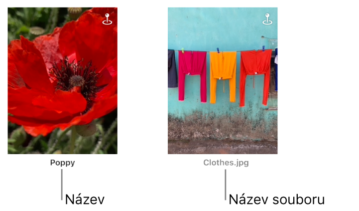 Dvě fotografie: pod první je zobrazen její název a pod druhou název souboru.