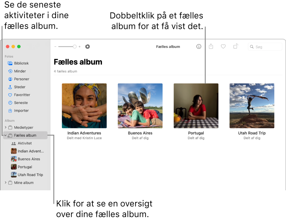 Fotos-vinduet, der viser Fælles album valgt i indholdsoversigten og de fælles album til højre.