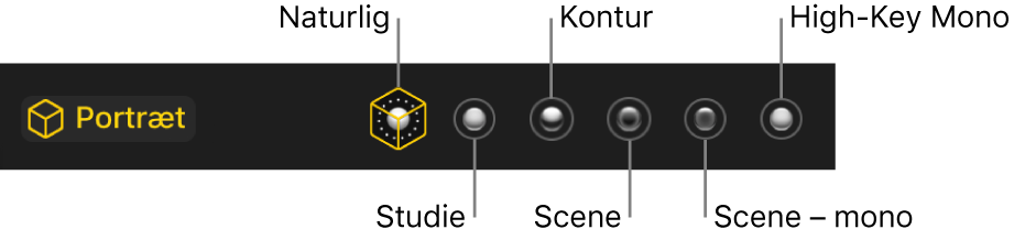 Lyseffekter til portrætfunktion, herunder (fra venstre til højre) Naturlig, Studie, Kontur, Scene, Scene – mono og High-Key Mono.