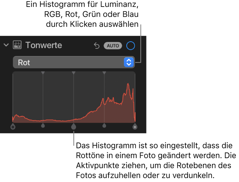 Die Steuerungen „Tonwerte“ im Bereich „Anpassen“ mit dem Histogramm „Rot“ und Aktivpunkten unten, um den Rotwert eines Fotos anzupassen.