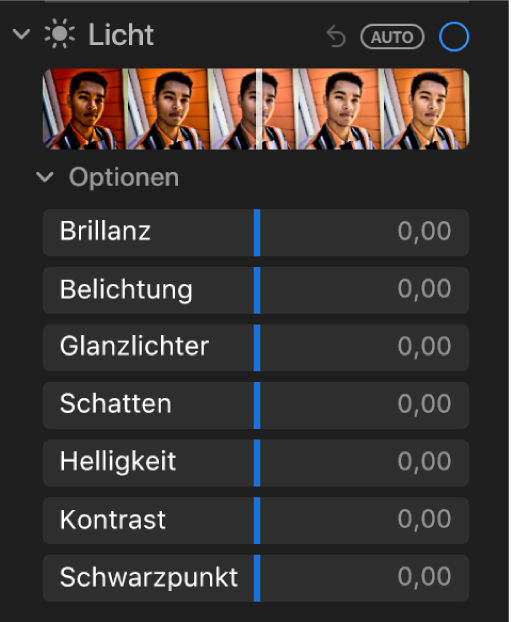 Die im Bereich „Anpassen“ unter „Licht“ angezeigten Regler sind: Brillanz, Belichtung, Glanzlichter, Schatten, Helligkeit, Kontrast und Schwarzpunkt.