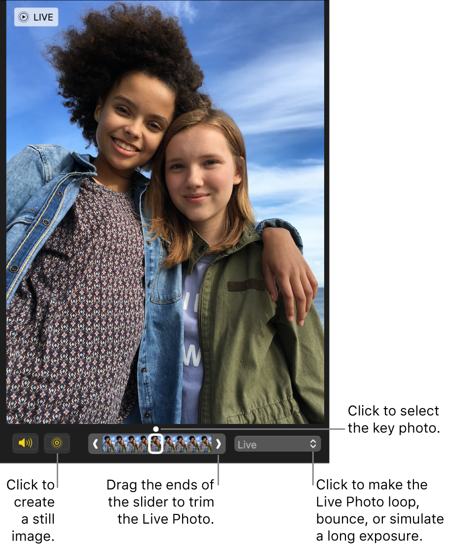 A Live Photo in editing view with a slider beneath it showing the frames of the photo. The Live Photo button and Speaker button are to the left of the slider, and to the right is a pop-up menu you can use to add a loop, bounce, or long exposure effect.
