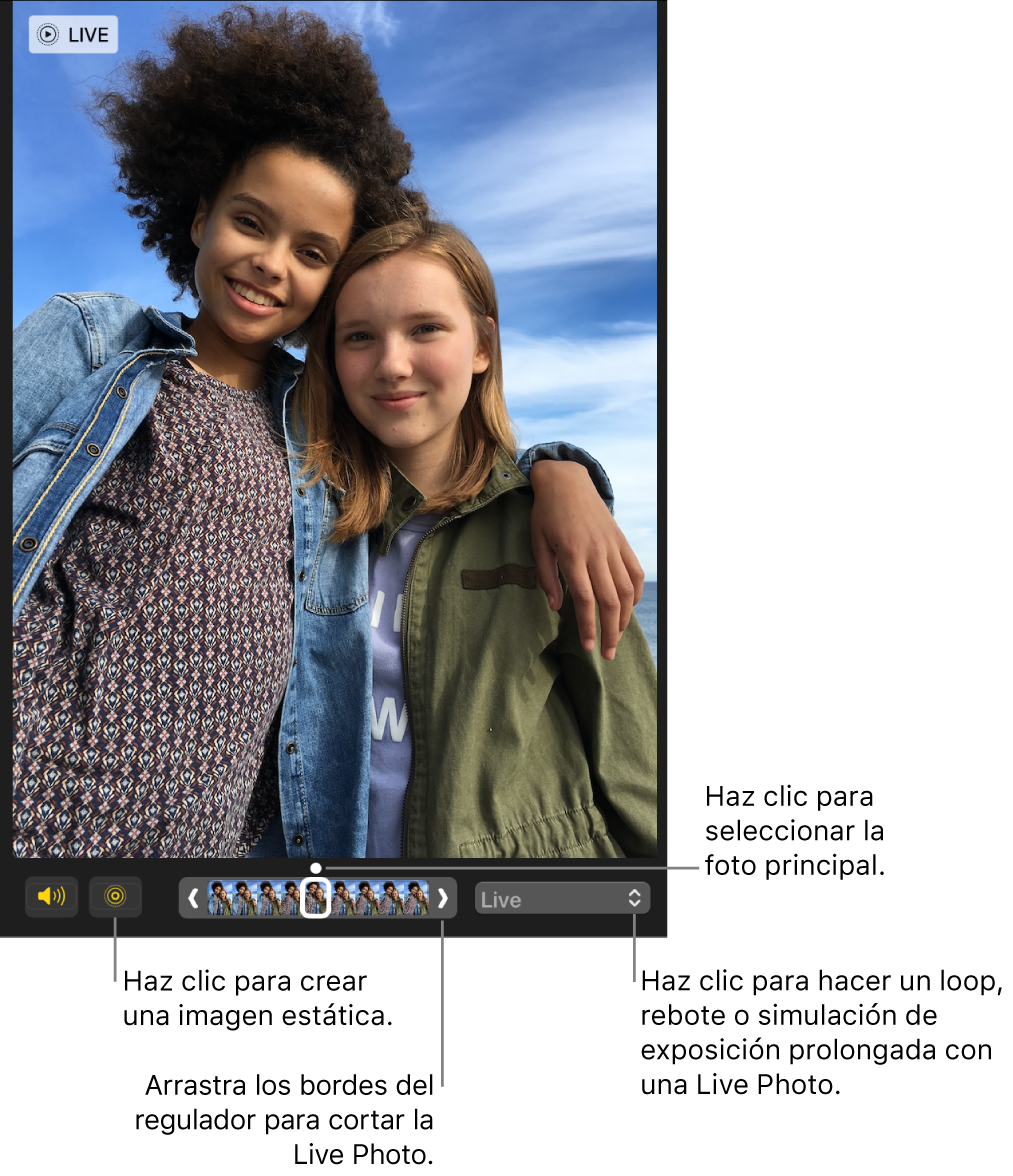 Una Live Photo en la vista de edición con un regulador debajo de ella mostrando los marcos de la foto. El botón “Live Photo” y el botón Altavoz se sitúan en la parte izquierda del regulador. El menú desplegable se sitúa en la parte derecha, lo puedes usar para agregar un efecto de bucle, rebote o exposición larga.