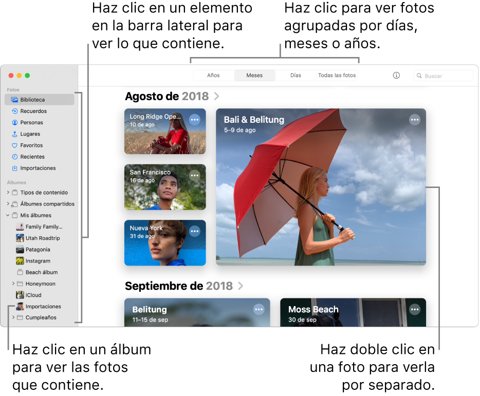 La ventana Fotos mostrando la opción Meses seleccionada en la barra de herramientas y las fotos organizadas por mes aparecen en el área principal de la ventana. La barra lateral se encuentra a la izquierda, en ella puedes seleccionar álbumes y proyectos.