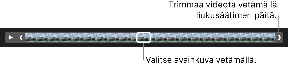 Trimmauskahvat videoklipissä.