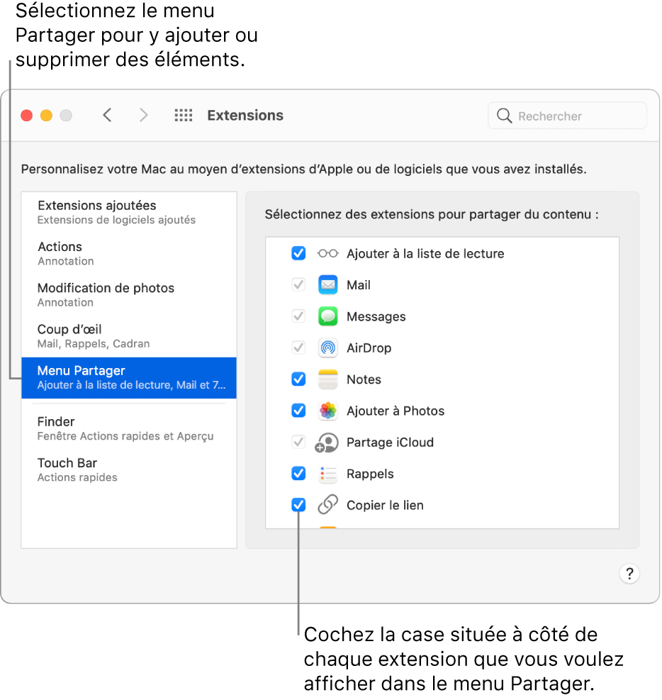 La sous-fenêtre Extensions des Préférences système affichant le menu Partager et une liste d’extensions tierces sur la droite.