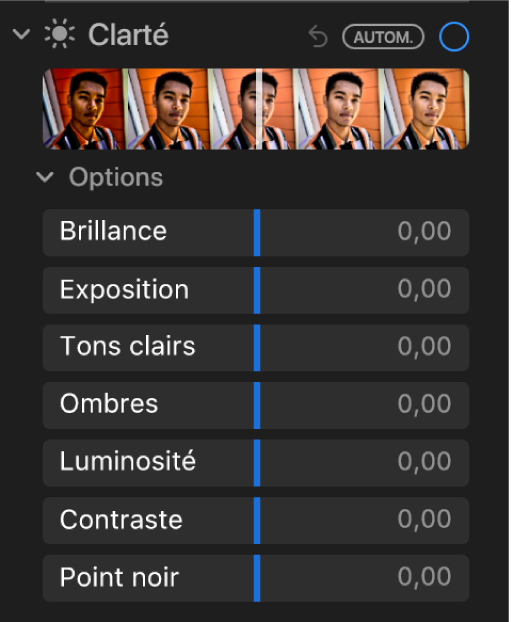 La zone Clarté de la sous-fenêtre Ajuster présentant les curseurs Brillance, Exposition, Tons clairs, Ombres, Luminosité, Contraste et Point noir.