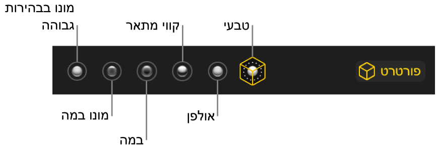 בחירות אפקטים של התאורה כולל (משמאל לימין) ״טבעי״, ״סטודיו״, ״מתאר״, ״במה״, ״במה מונו״ ו״מונו בבהירות גבוהה״.