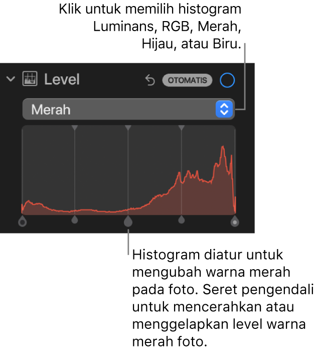 Kontrol Level di panel Sesuaikan, menampilkan histogram Merah dengan pengendali di bawah untuk menyesuaikan level merah foto.