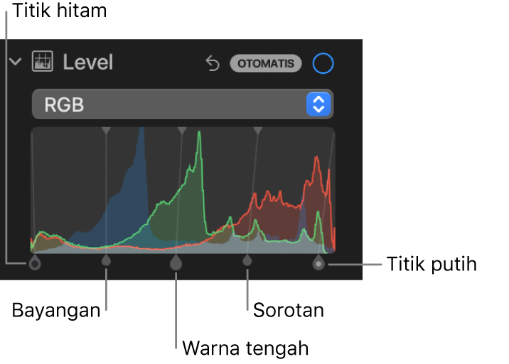 Kontrol Level di panel Sesuaikan, menampilkan histogram RGB dengan pengendali di bawah, termasuk (dari kiri ke kanan) titik hitam, bayangan, warna tengah, sorotan, dan titik putih.