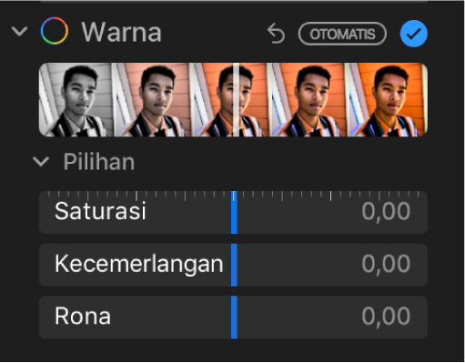 Area Warna pada panel Sesuaikan menampilkan penggeser untuk Saturasi, Kecemerlangan, dan Koreksi Warna.