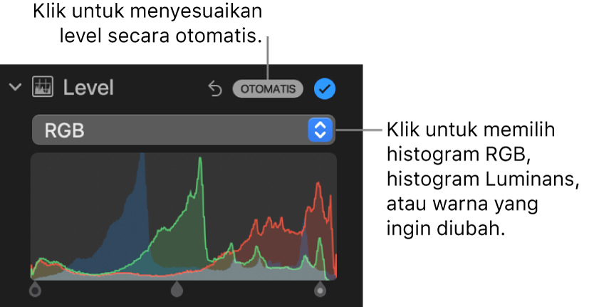 Kontrol Level di panel Sesuaikan, dengan dan tombol Otomatis di kanan atas serta histogram RGB di bawah.