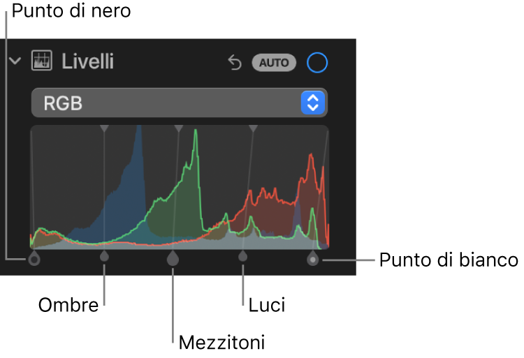 I controlli di Livelli nel pannello Regola, che mostrano l'istogramma RGB con le maniglie al di sotto, con (da sinistra a destra) il punto di nero, le ombre, i mezzitoni, i punti di luce e il punto di bianco.