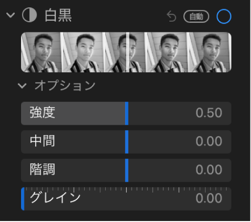 「調整」パネルの「白黒」領域。「強度」、「中間」、「階調」、および「グレイン」のスライダが表示されています。