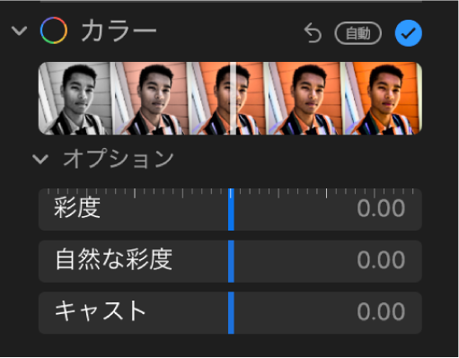 「調整」パネルの「カラー」領域。「彩度」、「自然な彩度」、および「キャスト」のスライダが表示されています。