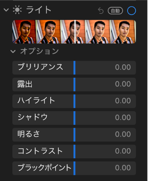 「調整」パネルの「ライト」領域。「ブリリアンス」、「露出」、「ハイライト」、「シャドウ」、「明るさ」、「コントラスト」、および「ブラックポイント」のスライダが表示されています。