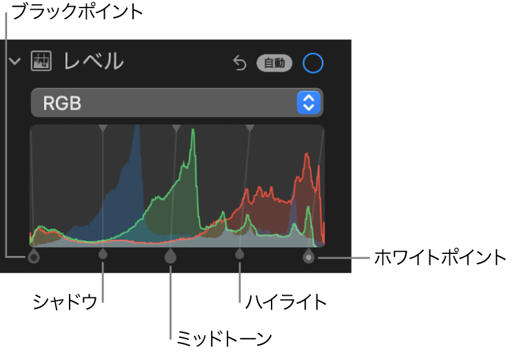 「調整」パネルの「レベル」コントロール。（左から右へ）ブラックポイント、シャドウ、ミッドトーン、ハイライト、ホワイトポイントのハンドルがある「RGB」ヒストグラムが下に表示されています。