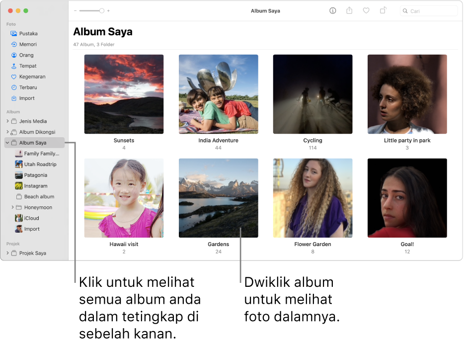 Tetingkap Foto dengan Album Saya dipilih dalam bar sisi dan album yang anda cipta dipaparkan dalam tetingkap di sebelah kanan.