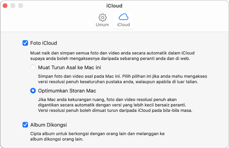 Anak tetingkap iCloud pada keutamaan Foto.