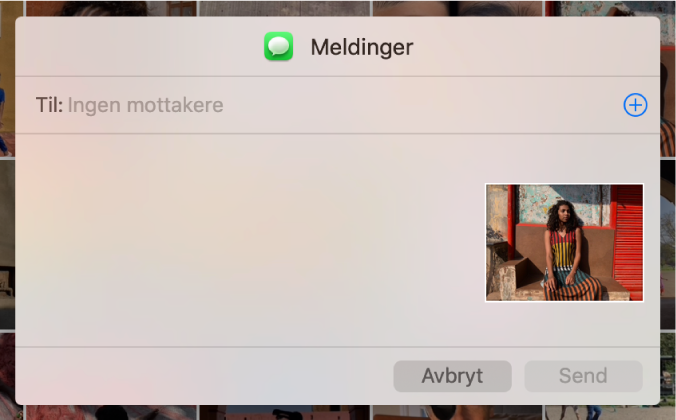 En dialogrute for å legge til mottakere når du deler bilder fra Bilder-programmet ved hjelp av Meldinger.