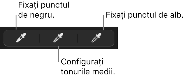 Trei pipete utilizate pentru a configura punctul de negru, tonurile medii și punctul de alb al pozei.