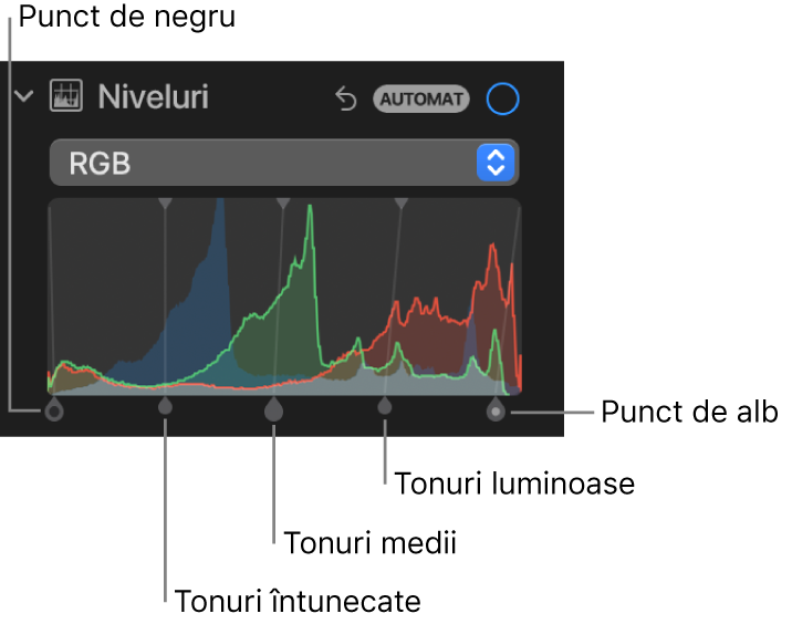 Comenzile Niveluri în panoul Ajustare, afișând histograma RGB cu mânerele dedesubt, inclusiv (de la stânga la dreapta) punctul de negru, tonurile închise, medii și luminoase și punctul de alb.
