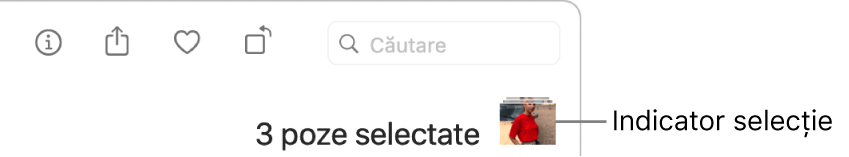 Un indicator de selecție indicând că sunt selectate trei poze.