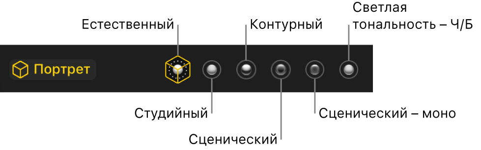 Выбор световых эффектов для портрета, включая (показаны слева направо): Естественный, Студийный, Контурный, Сценический, Сценический – моно и Светлая тональность – Ч/Б.