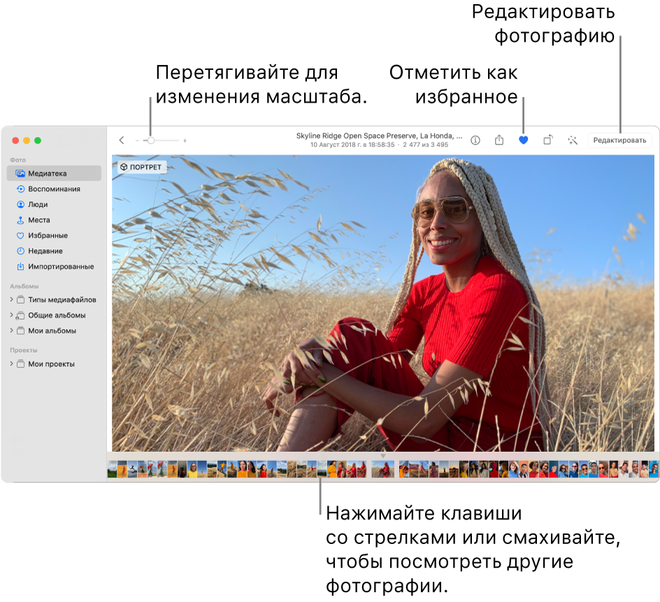 Окно приложения «Фото»: справа показана увеличенная фотография, под ней расположен ряд миниатюр. Вверху расположена панель инструментов с бегунком масштабирования, кнопкой «Избранное» и кнопкой «Редактировать».