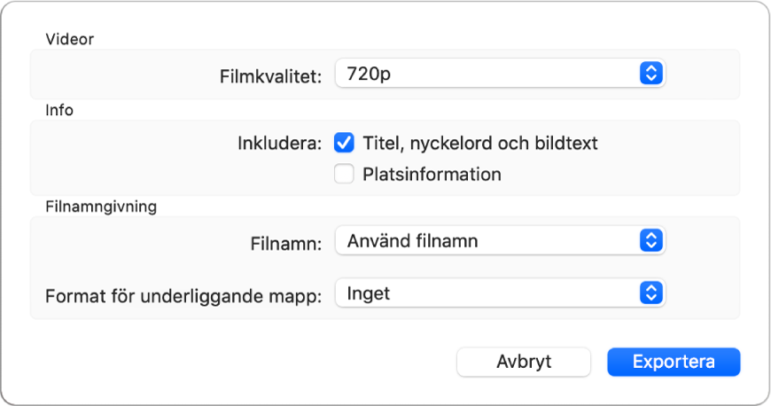 En dialogruta med alternativ för videoexport.