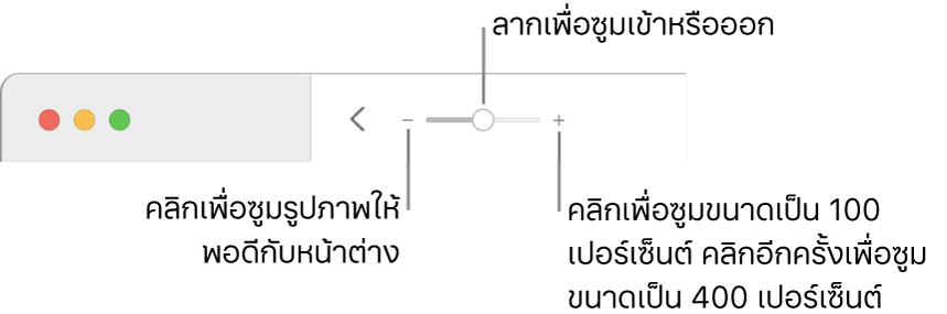 แถบเครื่องมือแสดงตัวควบคุมการซูม