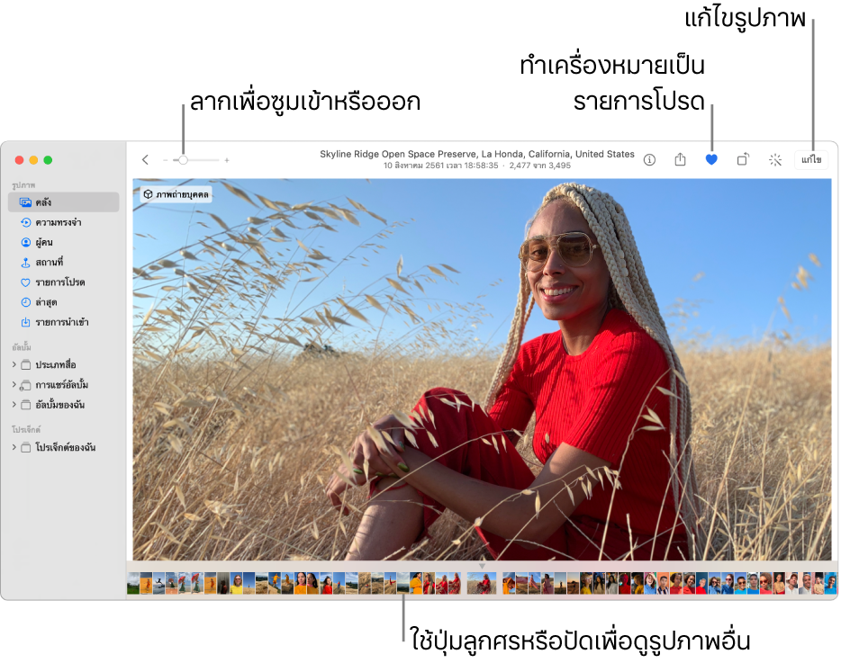 หน้าต่างรูปภาพที่แสดงรูปภาพที่ขยายใหญ่ทางด้านขวาโดยมีแถวของรูปย่ออยู่ด้านล่าง แถบเครื่องมือที่ด้านบนสุดประกอบด้วยแถบเลื่อนการซูม ปุ่มรายการโปรด และปุ่มแก้ไข