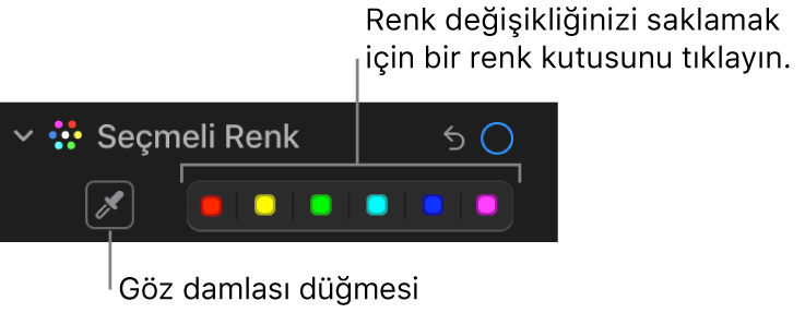 Damlalık düğmesinin ve renk kutularının gösterildiği Ayarla bölümündeki Seçmeli Renk denetimleri.