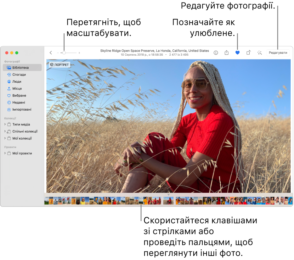 Вікно програми «Фотографії» зі збільшеним фото справа з рядком мініатюр нижче. Панель інструментів угорі містить повзунок «Масштаб», кнопку «Улюблене» та кнопку редагування.