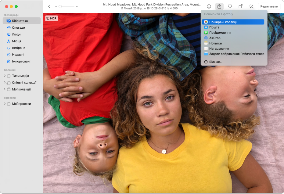 Вікно програми «Фотографії» з фото та вибраною командою «Спільні колекції» в меню «Спільний доступ».
