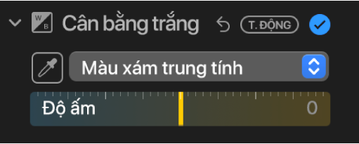 Các điều khiển Cân bằng trắng trong khung Điều chỉnh.