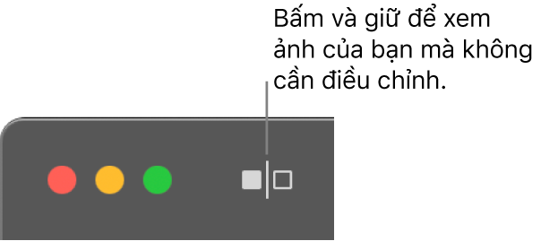 Nút Không có điều chỉnh, bên cạnh các điều khiển cửa sổ ở góc trên cùng bên trái của cửa sổ.