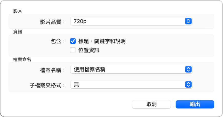對話框顯示輸出影片的選項。