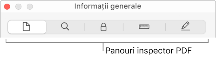 Panourile inspector PDF.