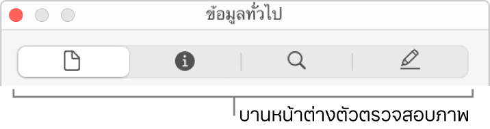 บานหน้าต่างตัวตรวจสอบภาพ