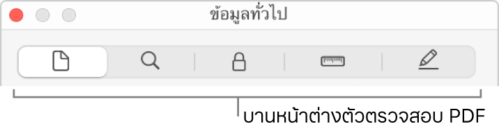 บานหน้าต่างตัวตรวจสอบ PDF