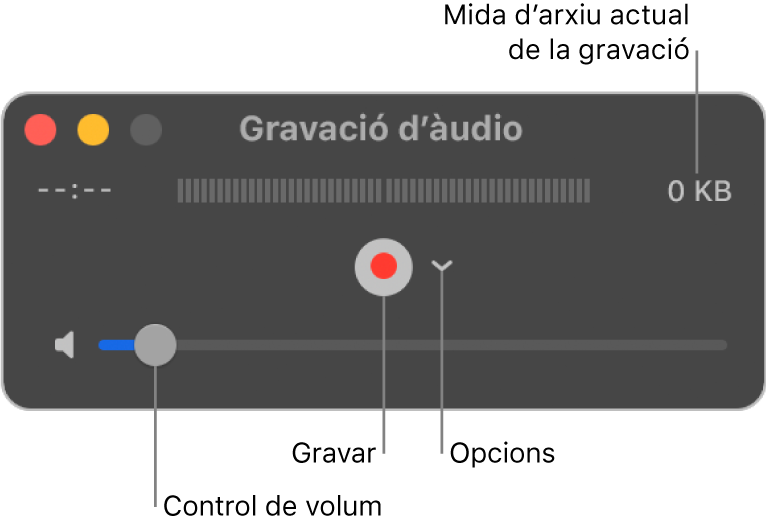 La finestra de gravació d’àudio, amb el botó Gravar i el menú desplegable Opcions al centre de la finestra i el control de volum a la part inferior.