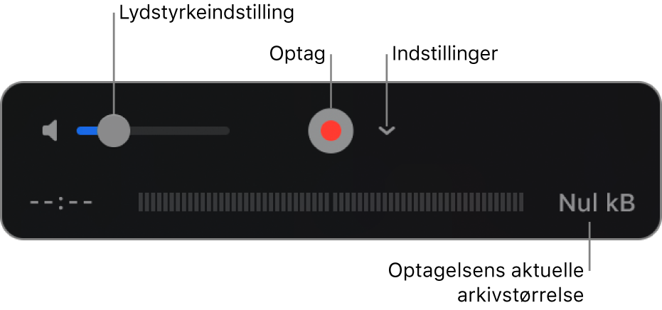 Betjeningsmulighederne til optagelse, inkl. justering af lydstyrke, knappen Optag og lokalmenuen Indstillinger.