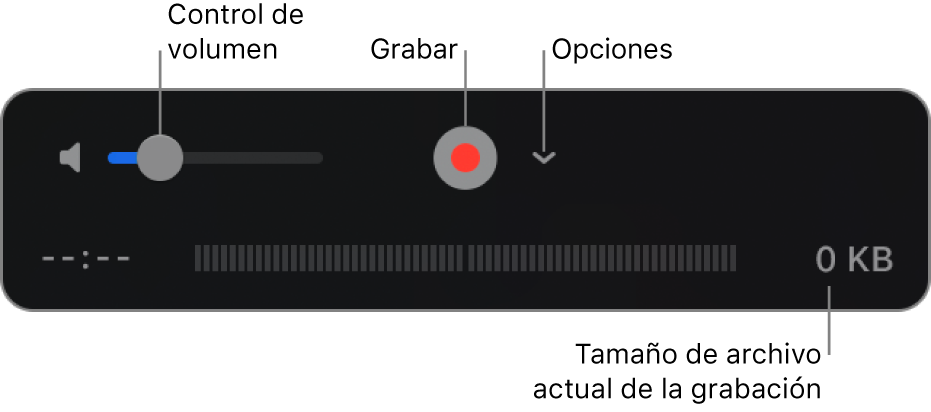 Los controles de grabación, incluido el control del volumen, el botón Grabar y el menú desplegable Opciones.