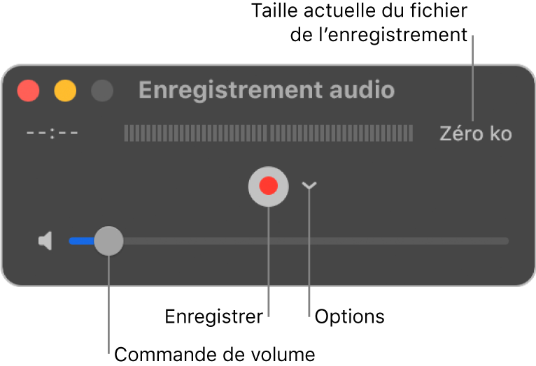 La fenêtre d’enregistrement audio avec le bouton Enregistrer et le menu local Options au centre de la fenêtre, et le contrôle du volume en bas.