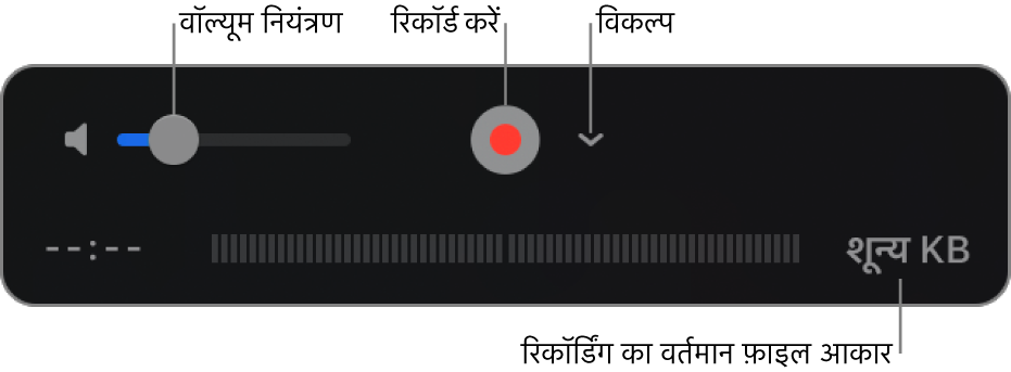 वॉल्यूम नियंत्रण, रिकॉर्ड बटन तथा विकल्प पॉप-अप मेनू वाला के साथ रिकॉर्डिंग नियंत्रण।