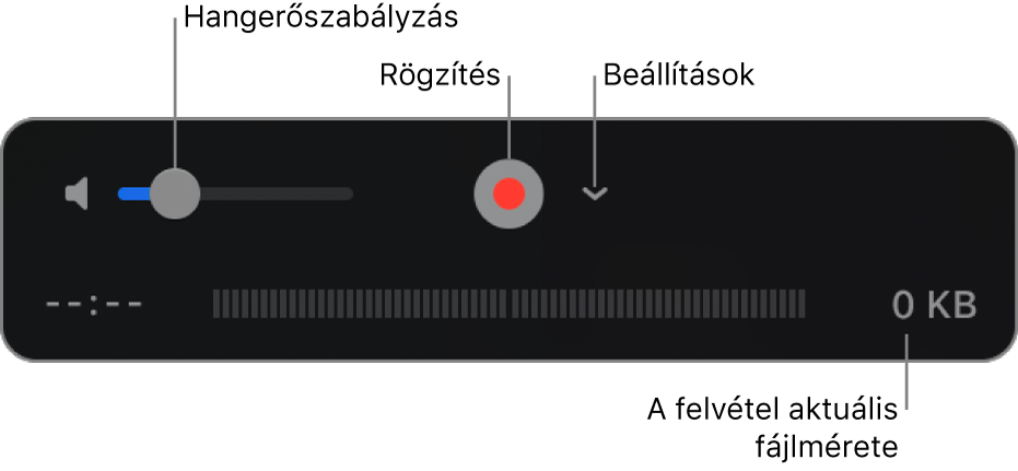 A felvételvezérlők: a Hangerővezérlő, a Felvétel gomb és a Beállítások felugró menü.